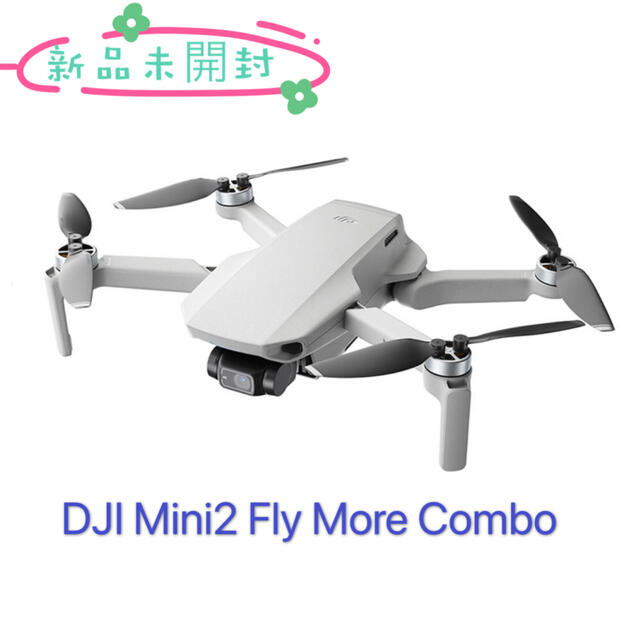 殿堂 Fly Mini2 新品セール DJI More 正規品 Combo ホビーラジコン