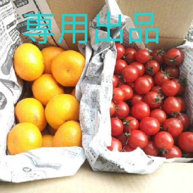 mon様ご専用☆熊本県産ミニトマト＋みかん 食品/飲料/酒の食品(野菜)の商品写真