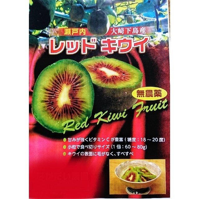 訳あり！広島県大崎下島産 レッドキウイ1キロ 食品/飲料/酒の食品(フルーツ)の商品写真