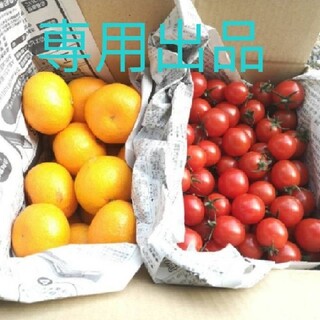 KKK様専用出品☆熊本県産ミニトマト＋柑橘(野菜)