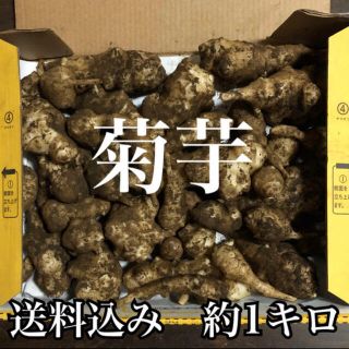 菊芋 1kg ③ イヌリン  キクイモ 1キロ(野菜)