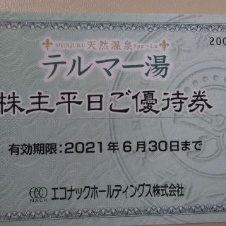 テルマー湯 株主優待券2枚(その他)