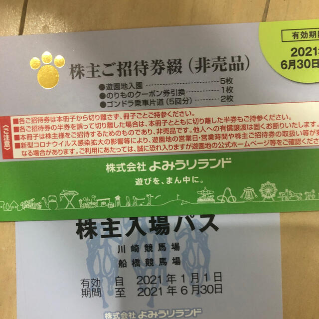 読売ジャイアンツ(ヨミウリジャイアンツ)のよみうりランド 株主優待 チケットの施設利用券(遊園地/テーマパーク)の商品写真