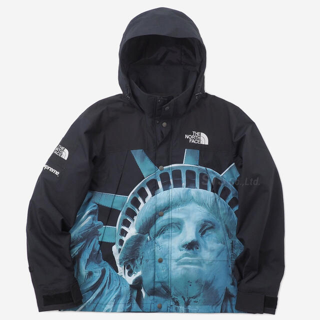 Supreme North Face Mountain Jacket 自由の女神