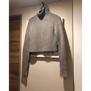 アレキサンダーワン(Alexander Wang)のアレキサンダーワンの短丈ニット(ニット/セーター)