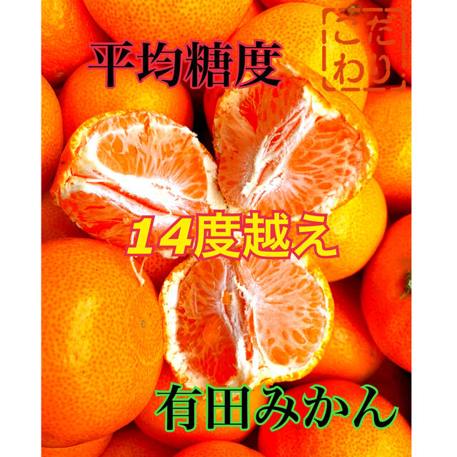 プレミアム糖度14度越え　プレミアムみかんキング　樹熟有田みかん