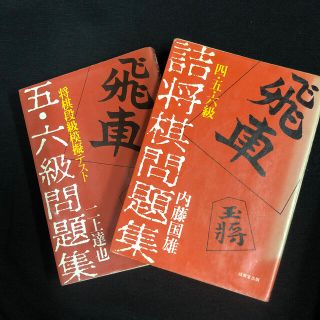 将棋本　２冊セット(囲碁/将棋)