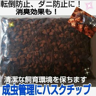 転倒防止に最適マット☆成虫管理にハスクチップ☆ 消臭・保水性に優れダニ防止に抜群(虫類)