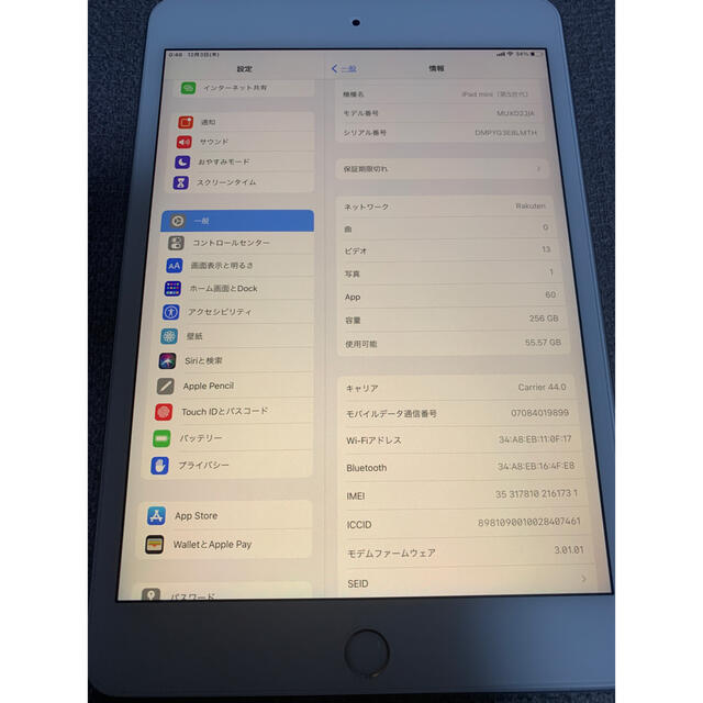 iPad mini 第5世代 Wi-Fi Cellular SIMフリー