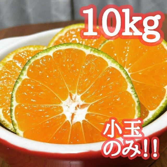 11評価実績1300件！コスパ◎早生みかん 10kg ミカン農家直送 食品/飲料/酒の食品(フルーツ)の商品写真