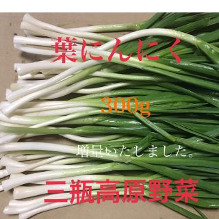 葉にんにく 300g 朝採り新鮮 島根の高原野菜(野菜)