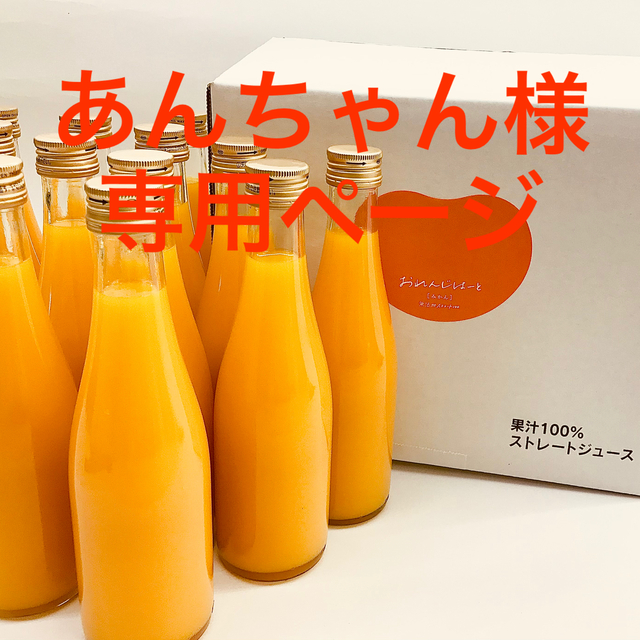 あんちゃん様　専用ページ小瓶12本 食品/飲料/酒の飲料(その他)の商品写真