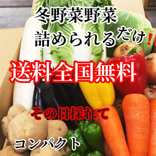 激安❗️農家直送野菜コンパクト入る分だけ詰めます送料無料 食品/飲料/酒の食品(野菜)の商品写真