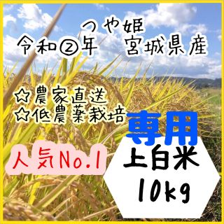 ☆専用品【農家直送】宮城県産つや姫　上白米10kg【送料無料】新米☆(米/穀物)