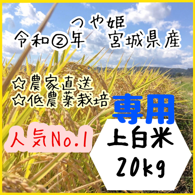 ☆専用品【農家直送】宮城県産つや姫　上白米5kg×4袋【送料無料】新米☆食品