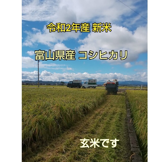 コシヒカリ　令和２年産富山県産　米/穀物