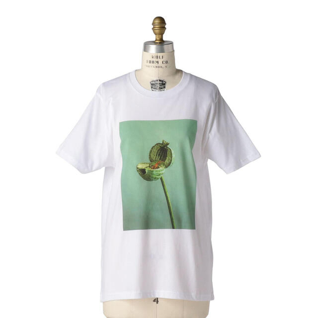 Drawer(ドゥロワー)の Drawer別注LISA KINGリサキングTシャツドゥロワーblamink レディースのトップス(Tシャツ(半袖/袖なし))の商品写真