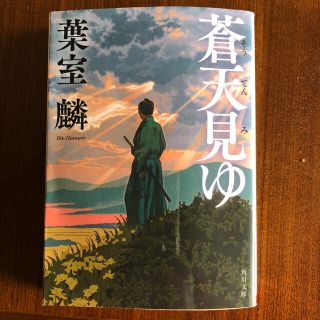 蒼天見ゆ(文学/小説)