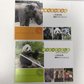 上野動物園　観察ガイドブックレット1＆2    シャンシャン(キャラクターグッズ)