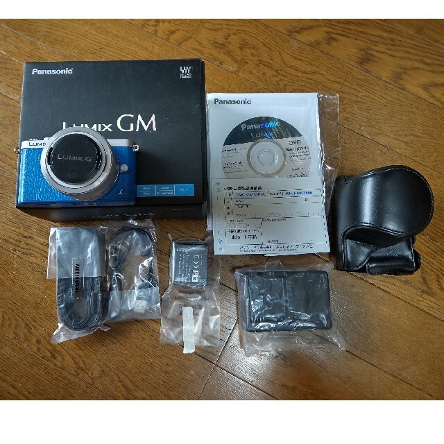 LUMIX GM DMC-GM1SK