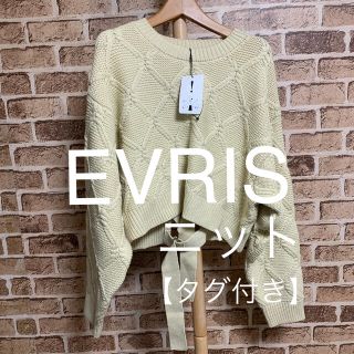 エヴリス(EVRIS)のEVRIS  ニット　【タグ付き】F 品番19(ニット/セーター)