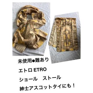 エトロ(ETRO)のjun様専用●難あり　エトロ ETRO  ショール　ストール　紳士アスコットタイ(マフラー/ショール)