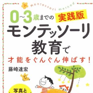 ０～３歳までの実践版モンテッソーリ教育で才能をぐんぐん伸ばす！ 写真とイラストで(結婚/出産/子育て)