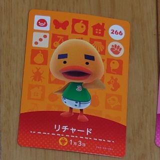 専用 amiiboカード(カード)