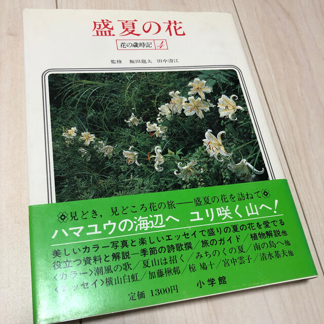 盛夏の花 エンタメ/ホビーの本(趣味/スポーツ/実用)の商品写真