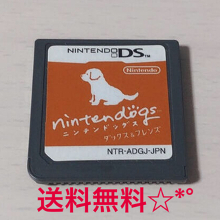 ニンテンドウ(任天堂)のnintendogs ダックス＆フレンズ DS  ニンテンドッグス ダックス(携帯用ゲームソフト)