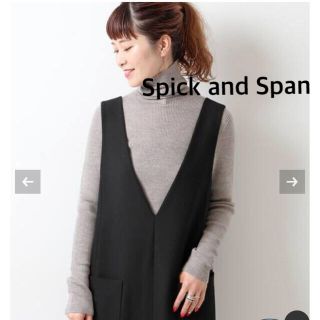 スピックアンドスパン(Spick & Span)のSpick&Span スピックアンドスパン ウォッシャブル リブタートルニット(ニット/セーター)