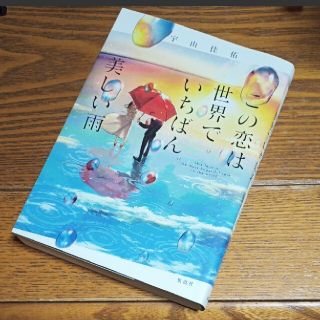 この恋は世界でいちばん美しい雨(文学/小説)