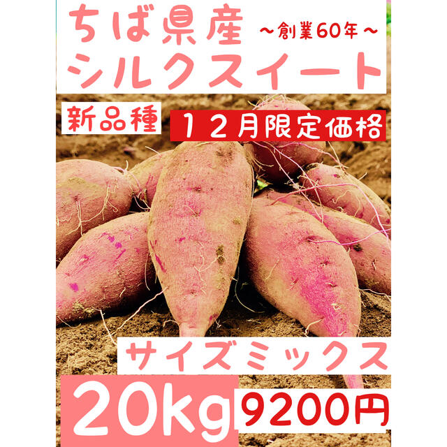 食品千葉県産　サツマイモ　シルクスイート　20kg サイズミックス