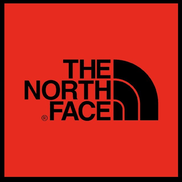 もち様専用THE NORTH FACE NUPTSE ヌプシ 700 ダウン