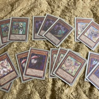 ユウギオウ(遊戯王)の遊戯王　I:Pマスカレーナetc...夢魔境デッキ　スリーブ付き！(その他)