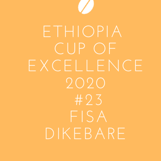 エチオピアCOE2020#23☆フィサ・ディケ・バレ☆250g☆注文後自家焙煎(コーヒー)