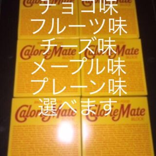 オオツカセイヤク(大塚製薬)のひよこ様 専用(その他)