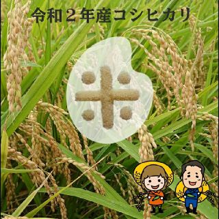 あこ666様専用です😊(米/穀物)