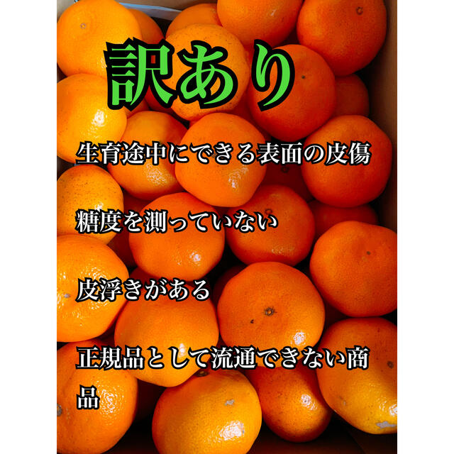 和歌山県産　訳あり有田みかん　BIGサイズ　10キロ みかんキング 食品/飲料/酒の食品(フルーツ)の商品写真