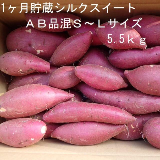 ＡＢ品混Ｓ～Ｌサイズ貯蔵1ヶ月シルクスイート5.5ｋｇ虫食い皮むけ曲がりなど 食品/飲料/酒の食品(野菜)の商品写真