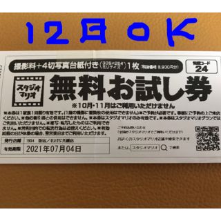 キタムラ(Kitamura)の12月使用可能　スタジオマリオ　無料お試し券(その他)