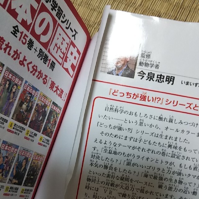 どっちが強い！？ゴリラｖｓクマ 頭脳とパワ－の大勝負 エンタメ/ホビーの本(絵本/児童書)の商品写真