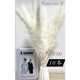 即購入◎ 豪華60cm★ホワイトパンパスグラス10本★段ボール梱包☆(ドライフラワー)