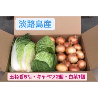 赤猫3様専用　淡路島 玉ねぎ 晩生 S〜Lサイズが5キロ・キャベツ2個・白菜1個(野菜)