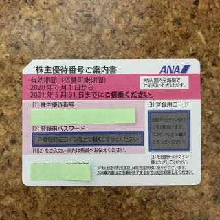 エーエヌエー(ゼンニッポンクウユ)(ANA(全日本空輸))のANA株主優待券 １枚(その他)