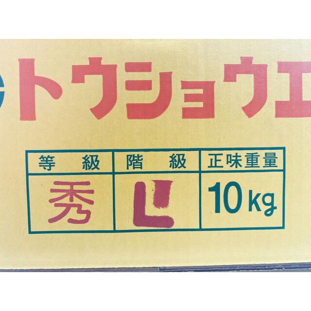 くまーん様専用❗️和歌山県産　有田みかん　秀　L 10kg✖️6箱 食品/飲料/酒の食品(フルーツ)の商品写真