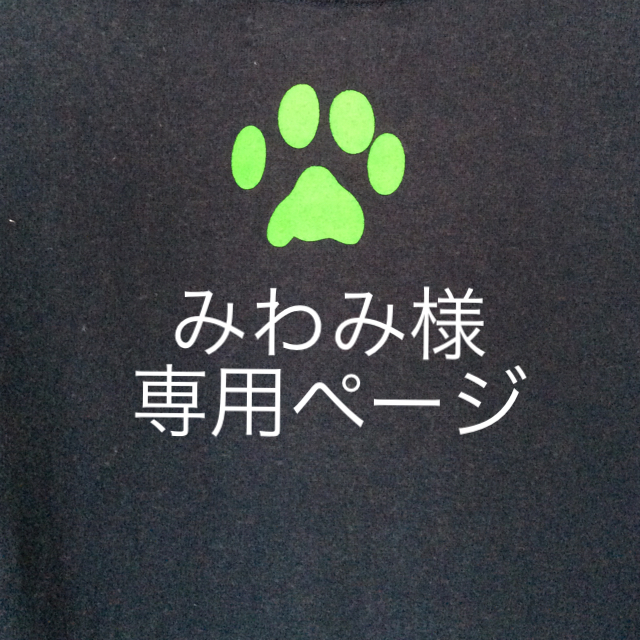 Labrador Retriever(ラブラドールリトリーバー)のみわみ様専用ページ メンズのトップス(Tシャツ/カットソー(半袖/袖なし))の商品写真