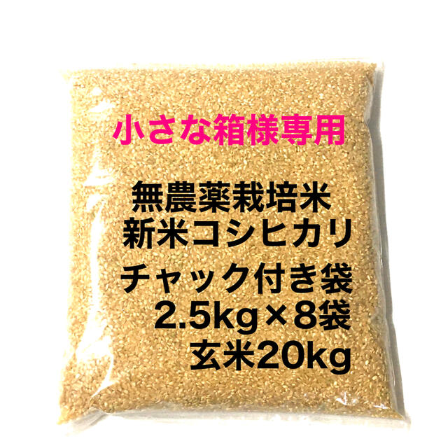 農薬無し 純こしひかり 10㎏ 玄米 - 米・雑穀・粉類