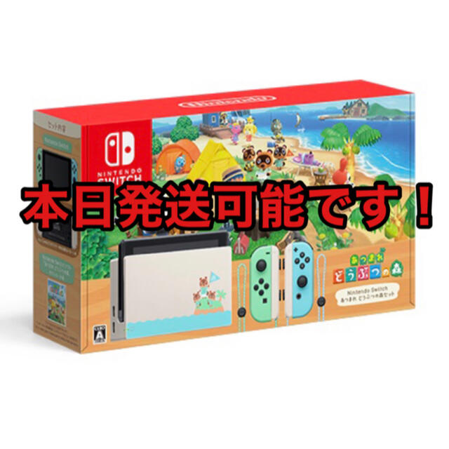 Nintendo Switch あつまれ どうぶつの森セット/Switch