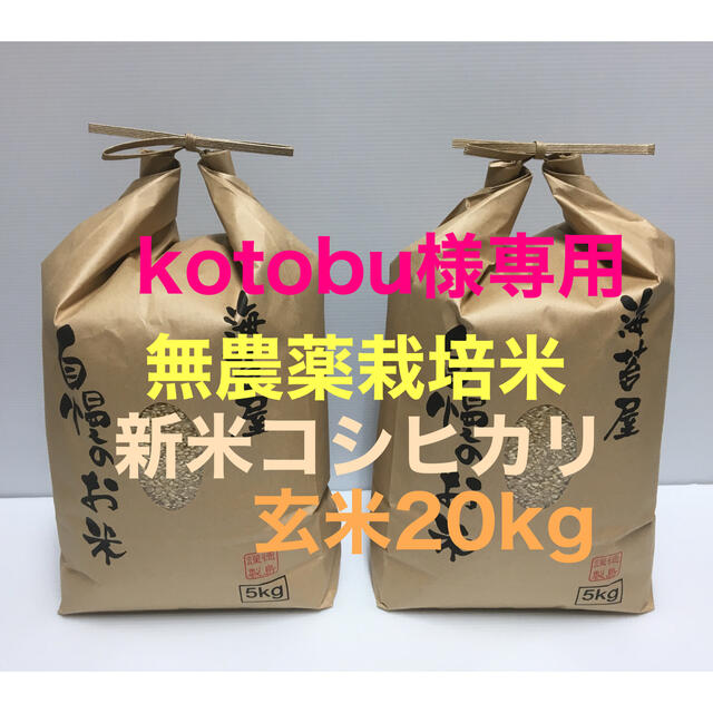 kotobu様専用 無農薬 新米コシヒカリ玄米20kg(5kg×4)令和2年産